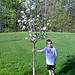 Thumbnail of Timothy with one of our blooming pear trees