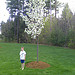 Thumbnail of Michael with another of our blooming pear trees