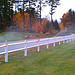 Thumbnail of Autumn sprinkler purging