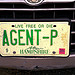 Thumbnail of Coolest Milford area license plate