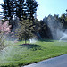 Thumbnail of Autumn Sprinkler Blowout