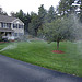 Thumbnail of Autumn Sprinkler Blowout